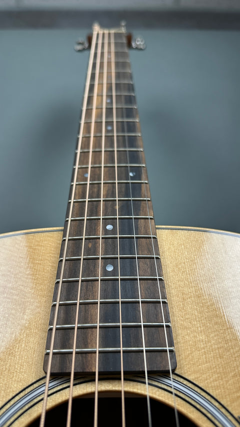 Taylor GS Mini-e Rosewood Plus -