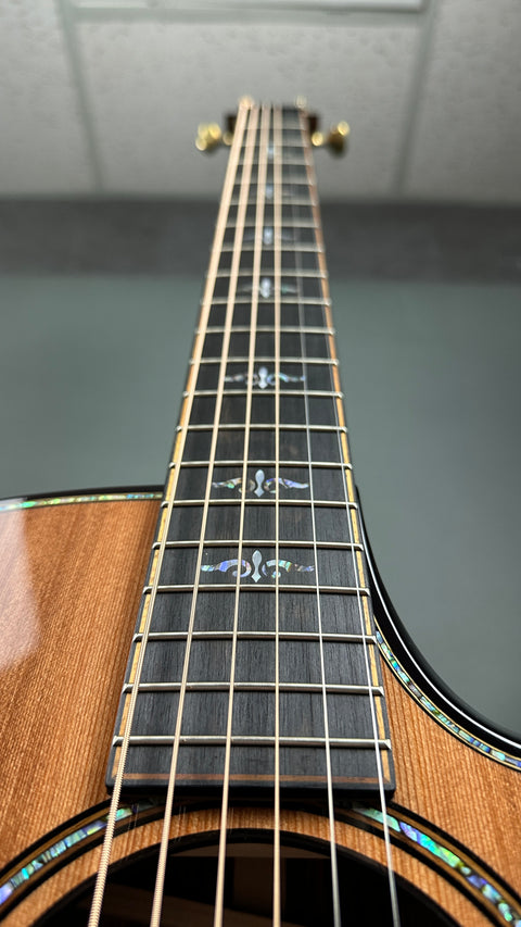 Taylor Builder's Edition 914ce -