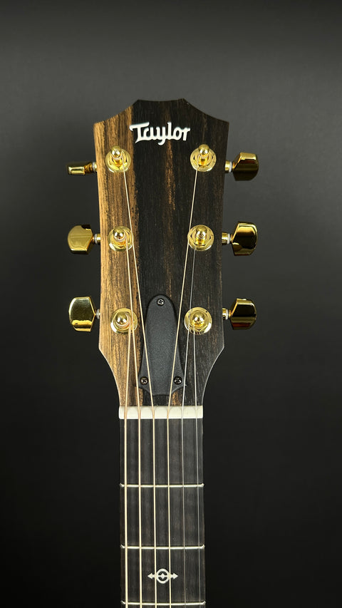 Taylor 224ce-K DLX -