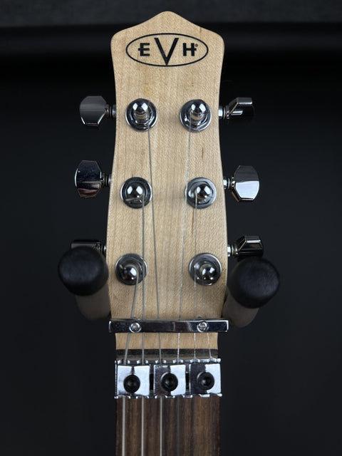 2015 EVH Striped Series Star - Black & White -