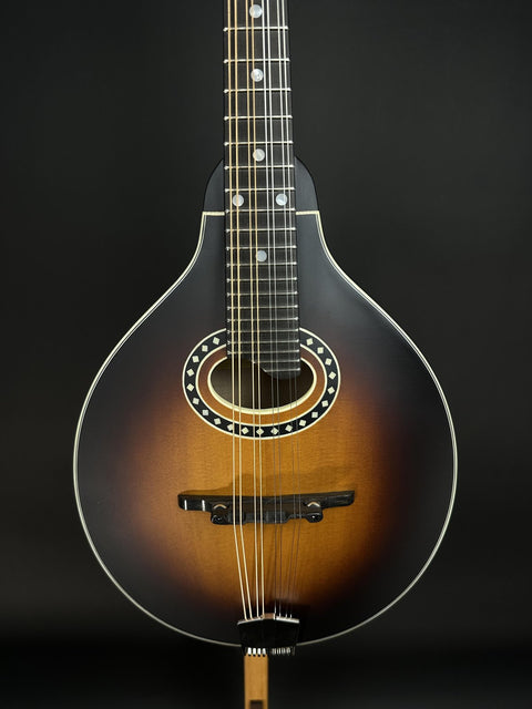 Eastman MD304E-SB -