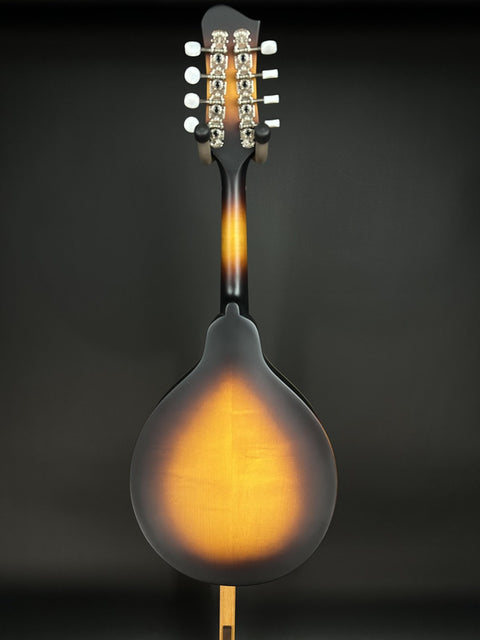 Eastman MD304E-SB -