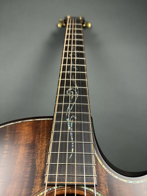 Taylor Builder's Edition K24ce -