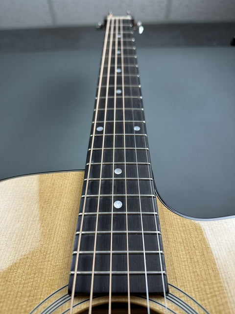 Eastman E1OMCE-DLX -