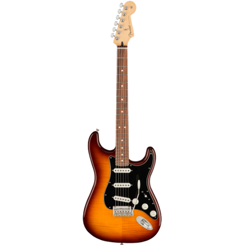 Fender Player Stratocaster Plus Top - 