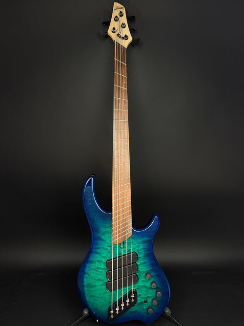 Dingwall Guitars Combustion 5-String - Whalepool Burst with Pau Ferro Fingerboard