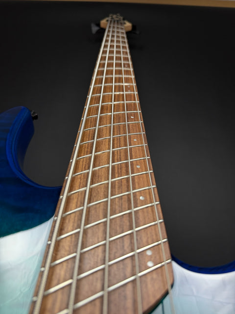 Dingwall Guitars Combustion 5-String - Whalepool Burst with Pau Ferro Fingerboard