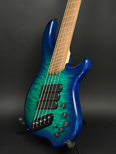 Dingwall Guitars Combustion 5-String - Whalepool Burst with Pau Ferro Fingerboard