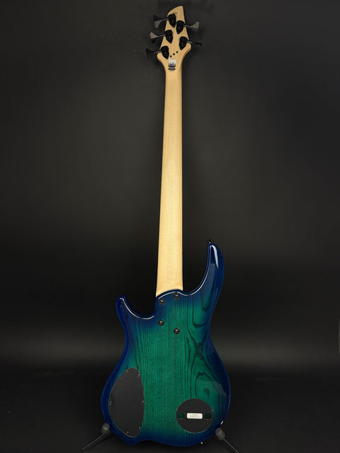 Dingwall Guitars Combustion 5-String - Whalepool Burst with Pau Ferro Fingerboard