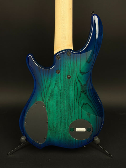 Dingwall Guitars Combustion 5-String - Whalepool Burst with Pau Ferro Fingerboard