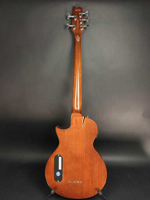2020 LTD TL-5 Acoustic-Electric Bass - Natural