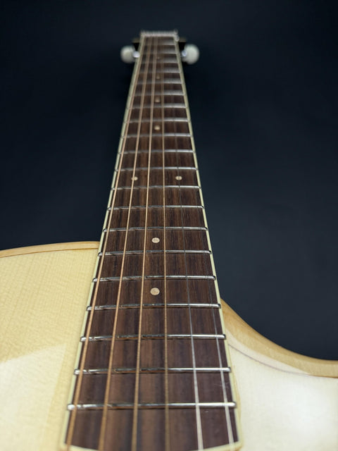 2024-2025 LR Baggs AEG-1 Acoustic-Electric Guitar - Natural -