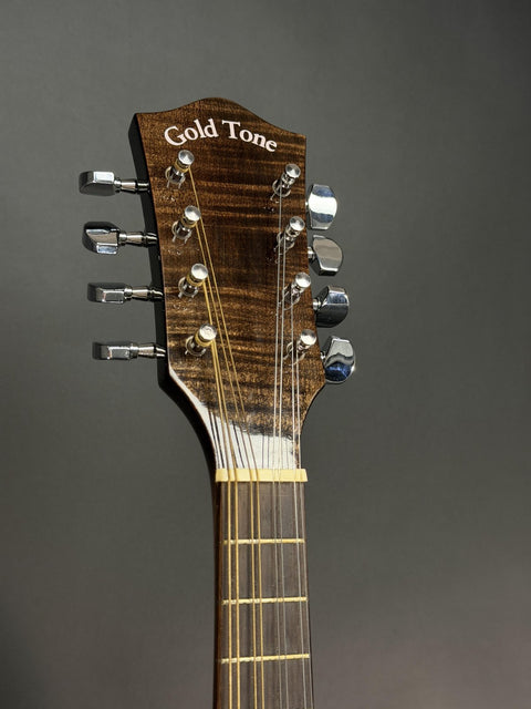 2012 Gold Tone MB850+ Banjolin