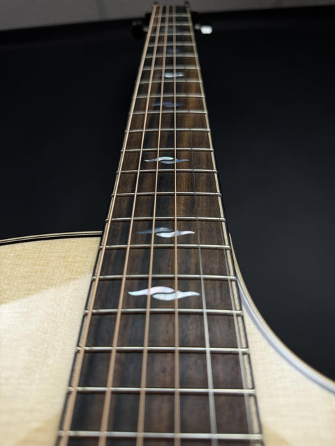 Taylor Limited Edition 814ce LTD Cocobolo -
