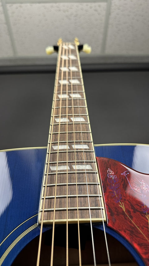 Epiphone Miranda Lambert Bluebird Studio - Bluebonnet - 