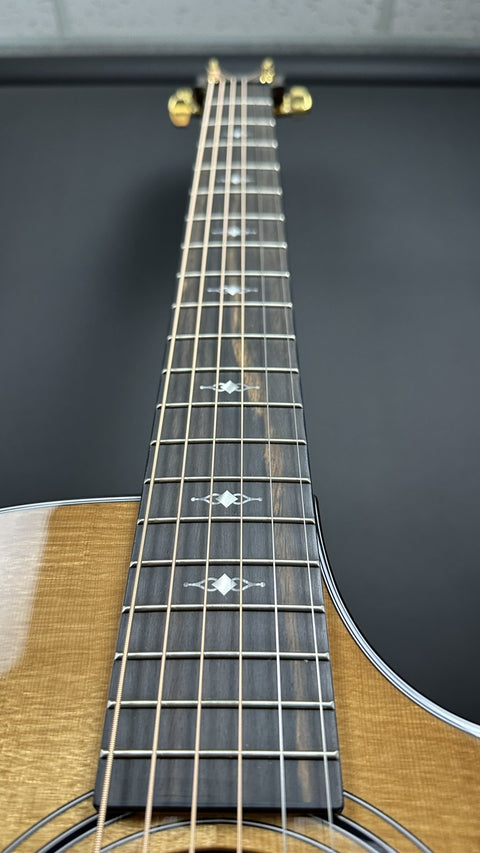 Taylor 50th Anniversary 312ce LTD - 