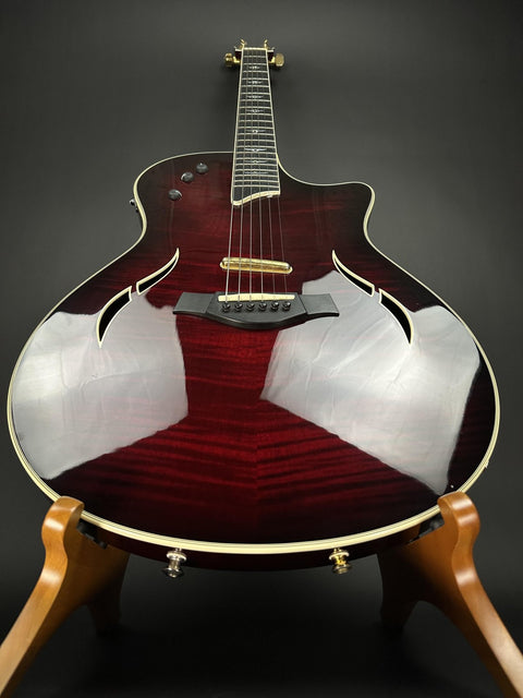 2005 Taylor T5-C1 - Shaded Red Edgeburst -