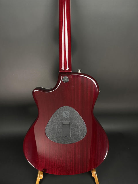 2005 Taylor T5-C1 - Shaded Red Edgeburst -