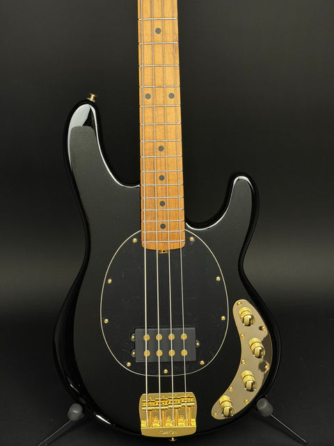 Music Man StingRay Special - Jackpot - Roasted Maple/Maple - Black PG - Gold Hardware