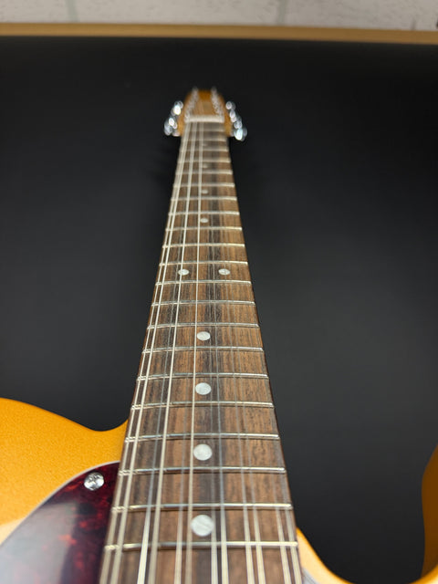 Squier Paranormal Troy Van Leeuwen Telecaster XII - Copper